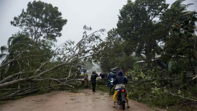 Árboles caídos por el huracán Eta en Nicaragua