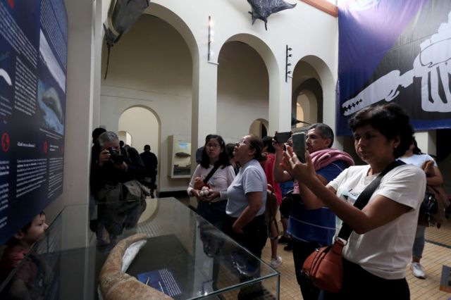 Visitantes tirando fotos de exposição 