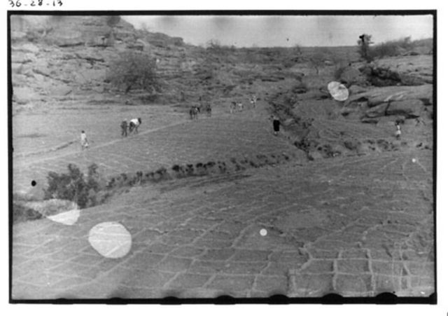 Campos de los dogones