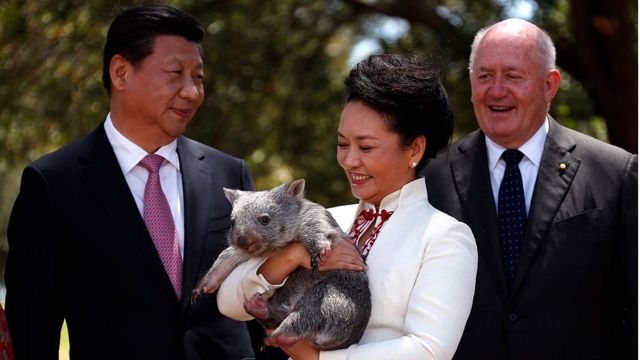 Xi Jinping and wife