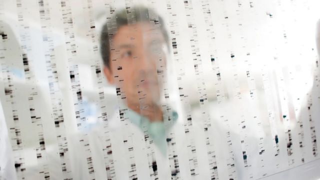 Folha translcida com sequenciamento de DNA (marquinhas pretas em colunas verticais) e um homem as observando