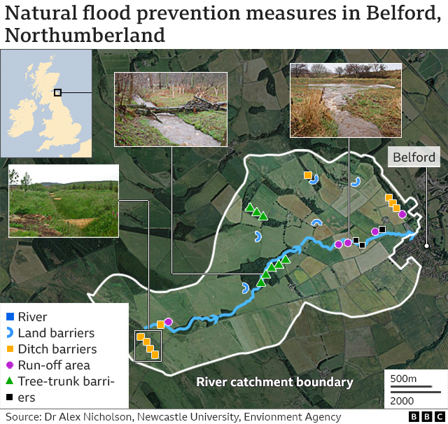 Map showing natural flood prevention measures around Belford in Northumberland