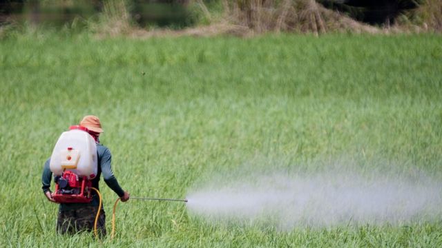 Agricultor aplicando pesticida