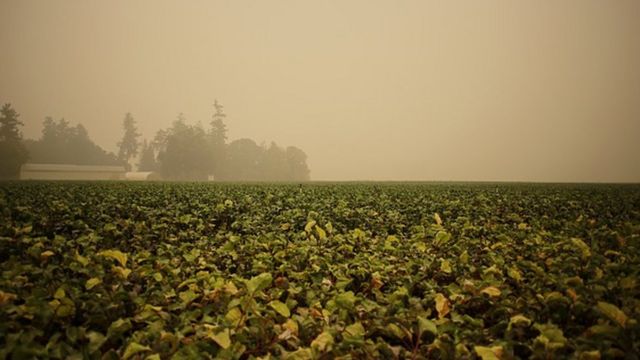 Chaque année plusieurs milliers de personnes décèdent à cause de la pollution