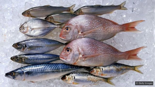 مچھلی &#39;بیماری کو کم کرنے والی غذا&#39; ہے تو پھر خدشات کیسے؟ - BBC News اردو