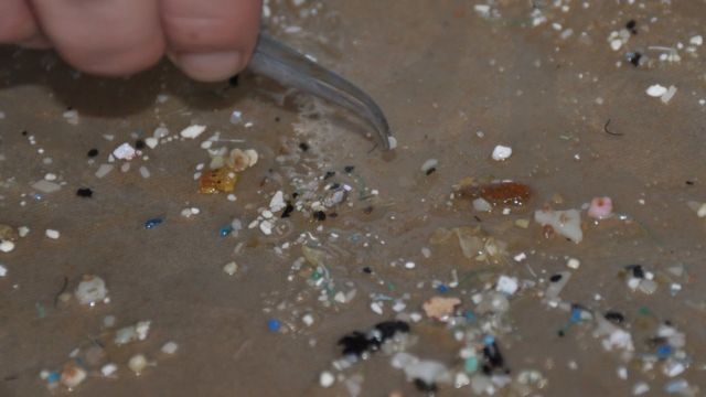 Partículas de microplásticos encontradas na areia do mar