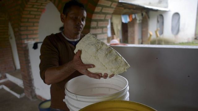 Producción artesanal de quesos en Venezuela.