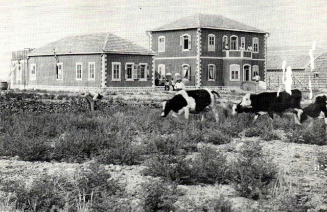 Primeiras casas do primeiro kibutz, Degania.