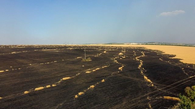 поле після пожежі