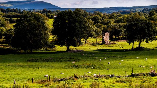The O'Connells believe part of St Nick is buried on their land