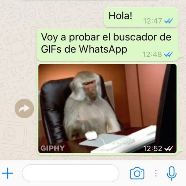 Cómo crear, buscar y enviar GIFs animados en WhatsApp - BBC News Mundo