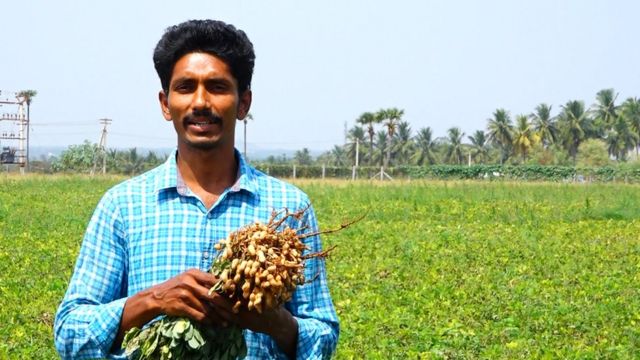 விதைப்பண்ணை