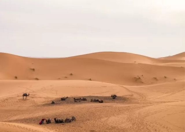 A Sahara road