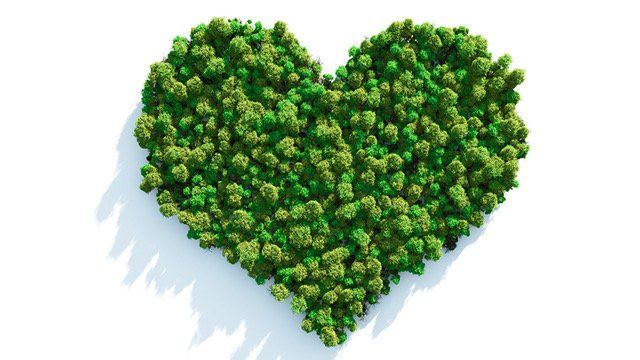 A green heart made of trees