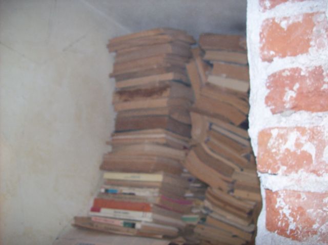 Livros dentro da parede