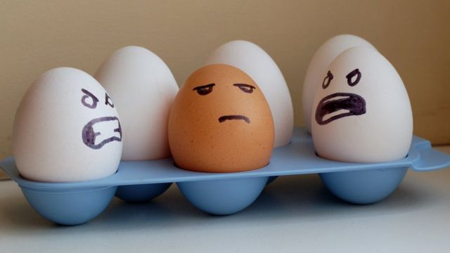 Яйца разного цвета