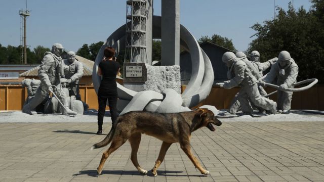 Собака біля пам'ятника Чорнобилю