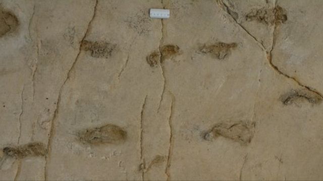 Photo showing the Trachilos footprints