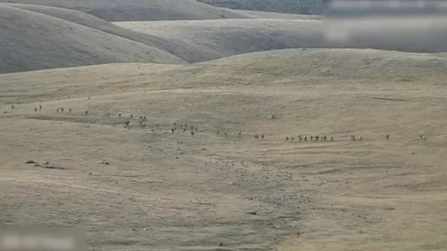 Продвижение азербайджанской армии