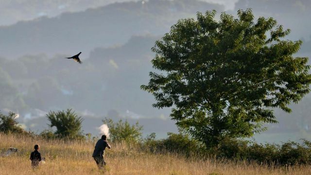 Сельское хозяйство и охота пострадают без огнестрельного оружия