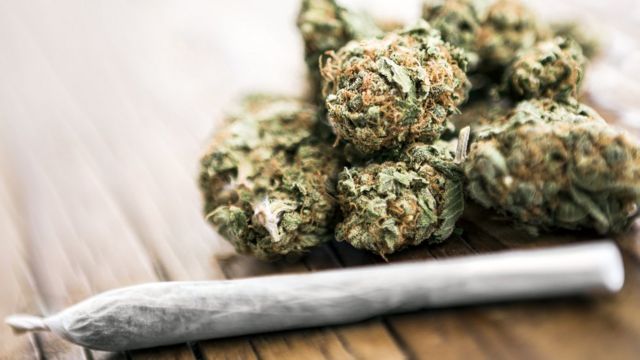 Cannabis: What are the risks of recreational use? - BBC News