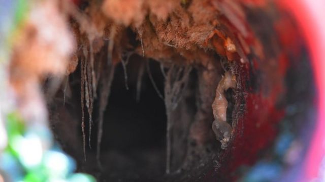 'Biofouling' - marine organisms clinging to ships - can be seen here in a water discharge outlet on the hull of an Antarctic-going research vessel