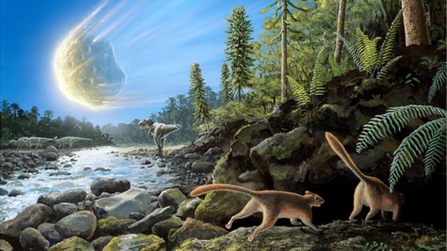 Rise of mammals 'began well before dinosaur extinction' - BBC News Rise of mammals 'began well before dinosaur extinction' - BBC News