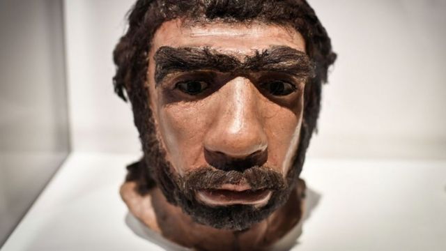 neanderthal face