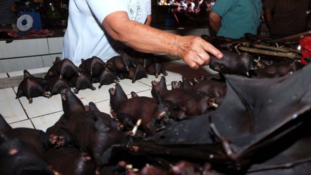 February 8, 2020 - a vendor selling bats at the Tomohon Extreme Meat market on Sulawesi island. Bats, rats and snakes are still being sold as food, despite calls to take them off the menu over fears of Covid-19 link.