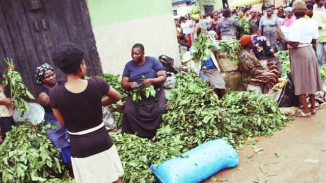 Ahia dị n'ala Igbo