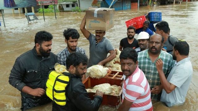 An Indian poultry farmer and his friends take out a batch of hens to a safer place at Aluva in Ernakulam district, in the Indian state of Kerala on 17 August 2018