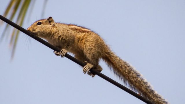 ஆந்திரா விபத்து