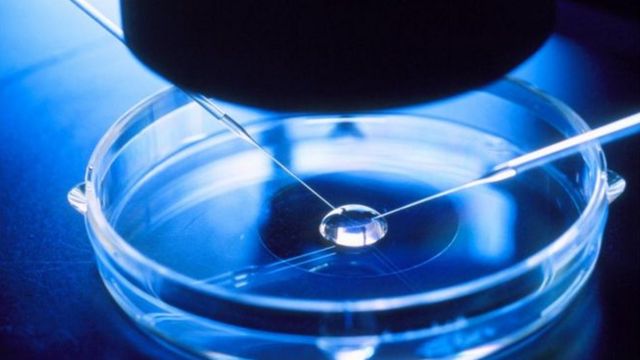 Fertilización in vitro