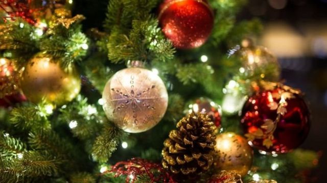 حكاية شجرة الكريسماس وعلاقتها بالإله المصري رع - BBC News عربي