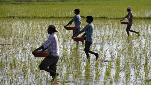 వ్యవసాయ సంక్షోభం