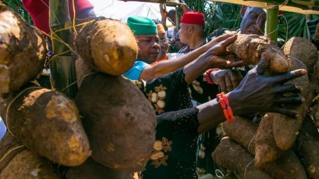 New Yam Festival Ihe Mere Ndị Igbo Ji Eme Emume Iri Ji ọhụrụ Bbc News Ìgbò 3385