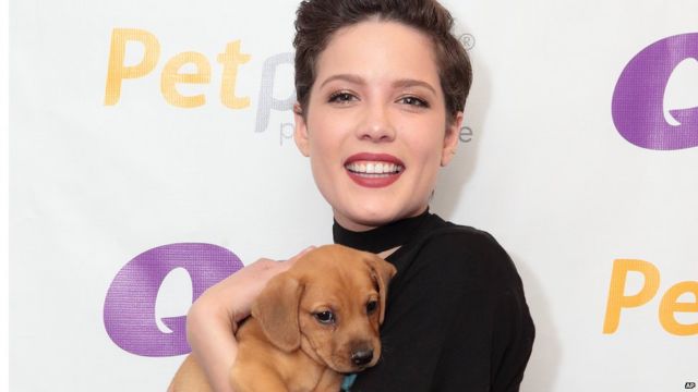 US singer Halsey says she had a miscarriage before a concert for Vevo - BBC  News