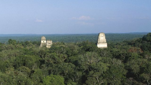Las ruinas de Tikal, en Guatemala