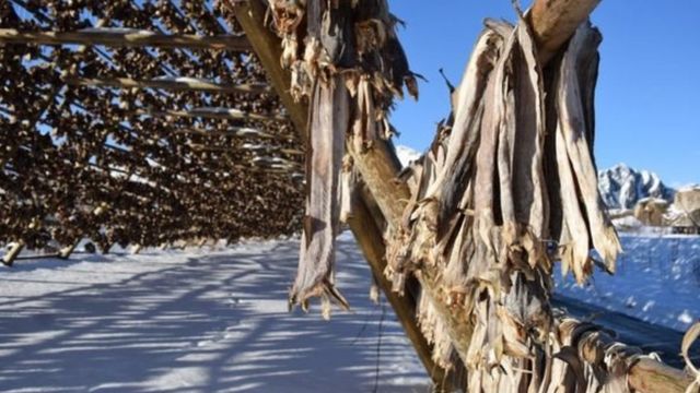 Scientists Develop Indoor Stockfish Drying Method