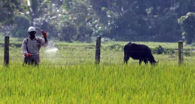 பூச்சிக்கொல்லி மருந்துகள்