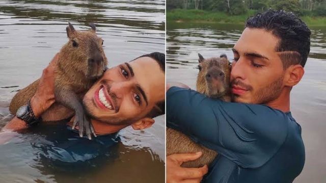 Uma capivarinha do amor pra dize  Capivara, Capivaras, Animais brasileiros