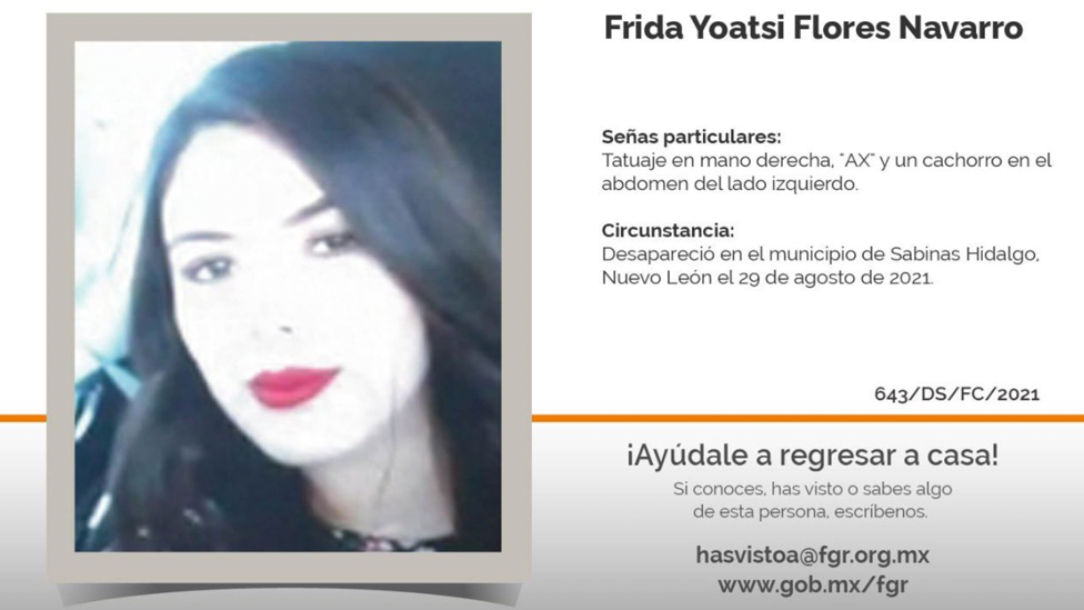 Cartel de búsqueda de Frida