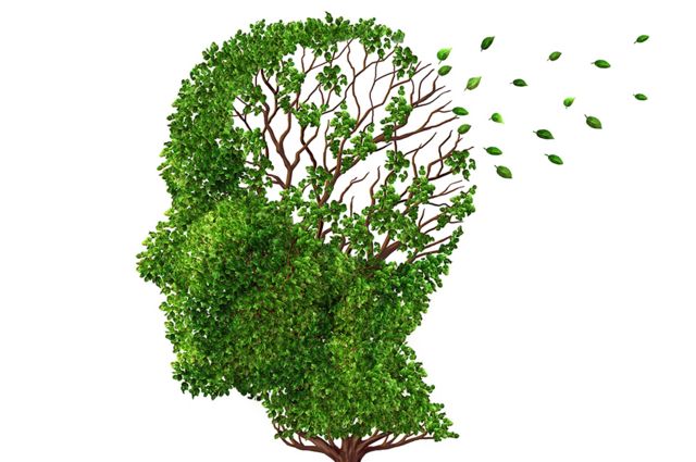 Ilustración de un árbol con forma de una cabeza humana que va perdiendo hojas. 