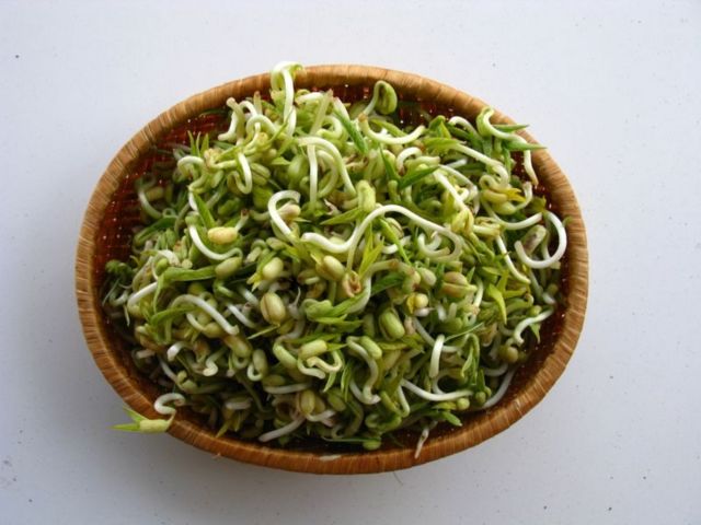 உண்ட பின் நஞ்சாகும் உணவு