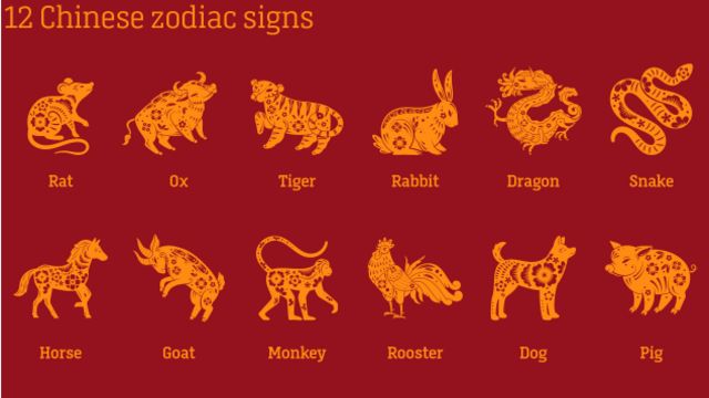 Zodiac sign: Lunar year fortune guide according to Chinese predictions -  BBC News Pidgin