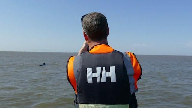 Back of a man looking out to sea at a whale