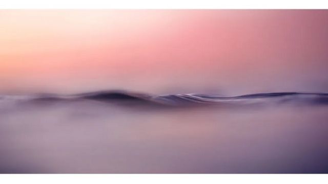 Laut