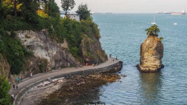 北美奇努克混合语 一种几乎被遗忘的语言 c 英伦网