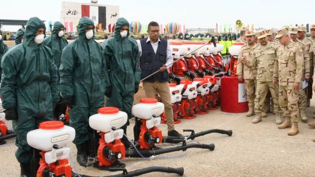 الجيش المصري