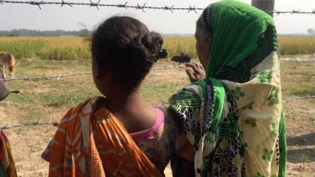 গোবিন্দগঞ্জের বিরোধপূর্ণ জমির চারদিকে কাঁটাতারের বেড়া তুলে দিয়েছে চিনিকল কর্তৃপক্ষ। ধানক্ষেত। নিজেদের রোপণ করা ধানক্ষেতের দিকে তাকিয়ে রয়েছেন সাঁওতাল নারী।